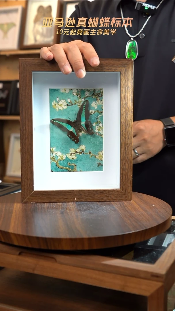 青凤蝶8寸复古框腊梅款