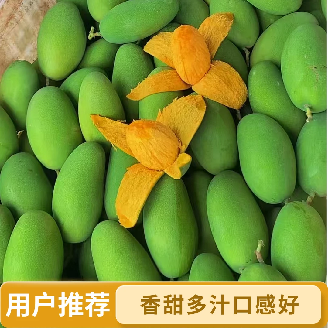 四川攀枝花椰香芒果核薄肉厚爆甜多汁新鲜水果