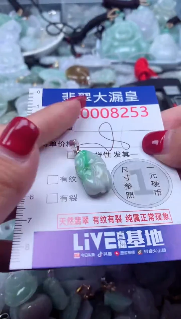 颈饰未镶嵌翡翠8253