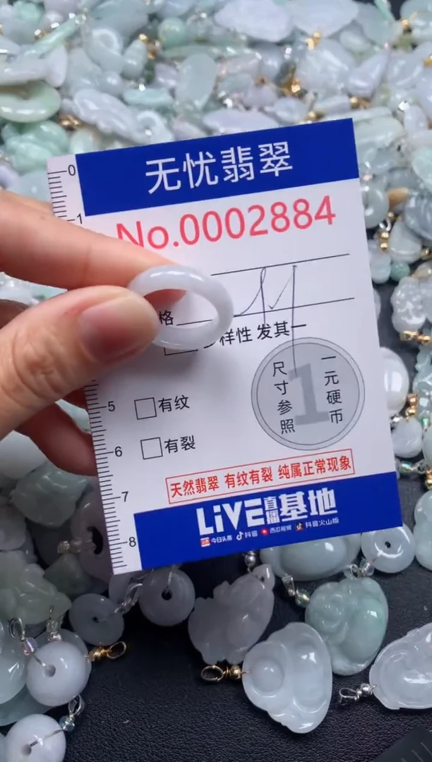 颈饰未镶嵌翡翠2884