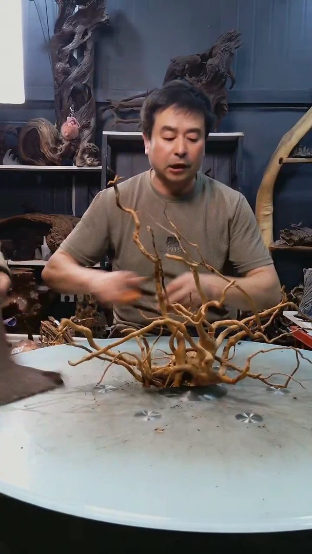 643清香阁清香阁清香阁