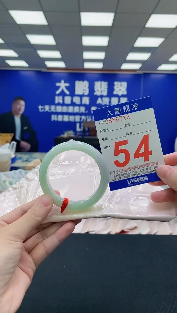 未镶嵌手镯翡翠AAAAAAAAA