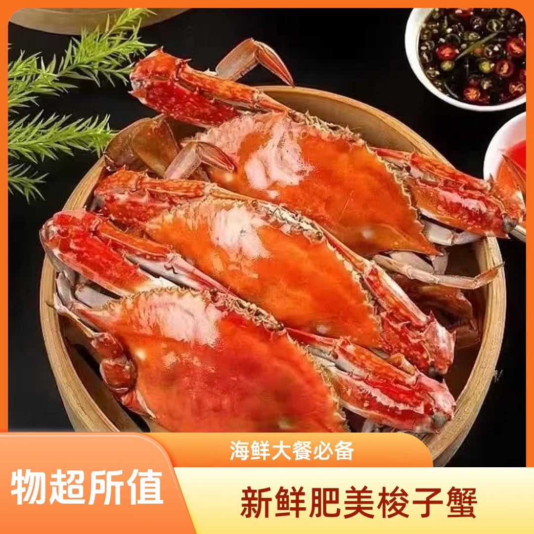 【巨无霸母蟹】舟山野生流网梭子蟹 精品肉母蟹 约4两左右/只 带肉带黄液氮锁鲜约3斤顺丰包邮到手8只【冻蟹】