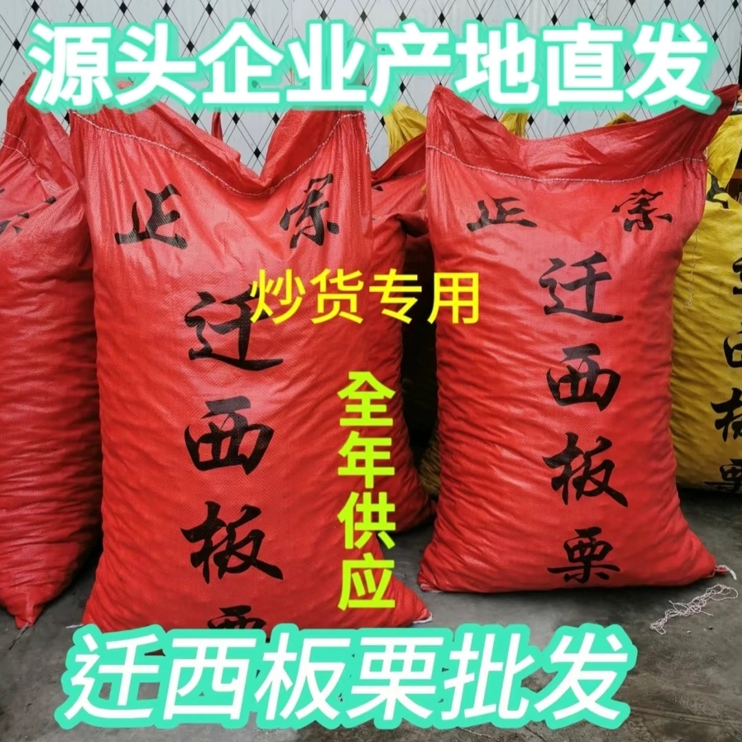 【迁西板栗批发】整包3113老树油栗子炒货店专用糖炒栗子