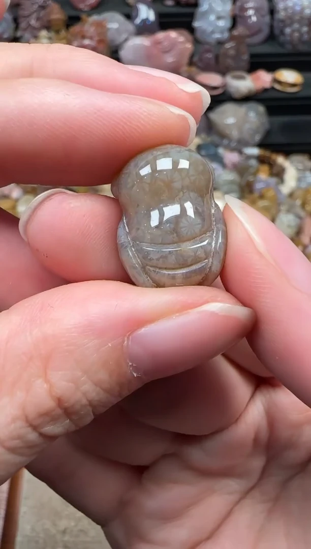 颈饰未镶嵌硅化珊瑚（珊瑚玉）265