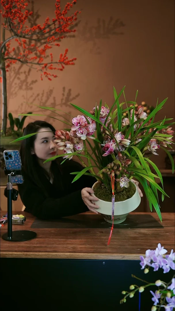 【闪购商品】盆景蝶恋花