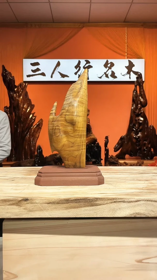 金丝楠安**树金丝楠木小叶桢楠