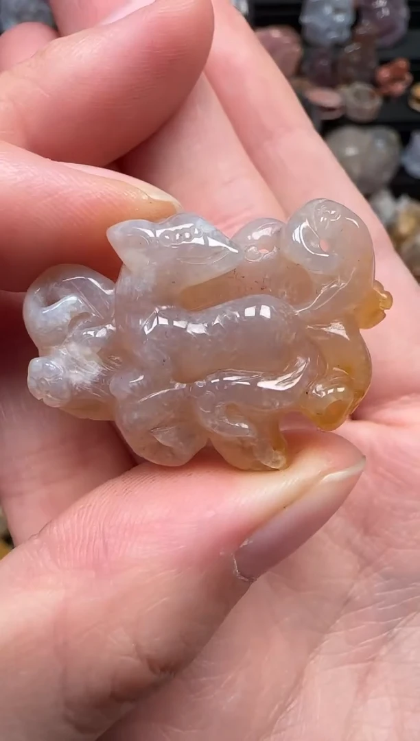 颈饰未镶嵌硅化珊瑚（珊瑚玉）231