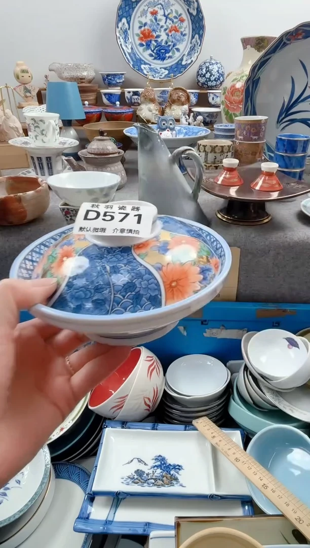 日式?默认微瑕秋羽D571