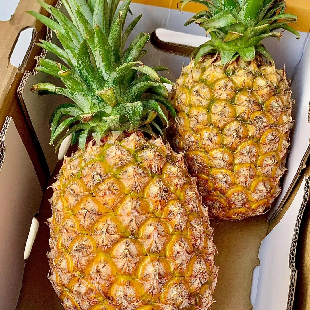（次日达）蜂蜜凤梨2个装顺丰包邮