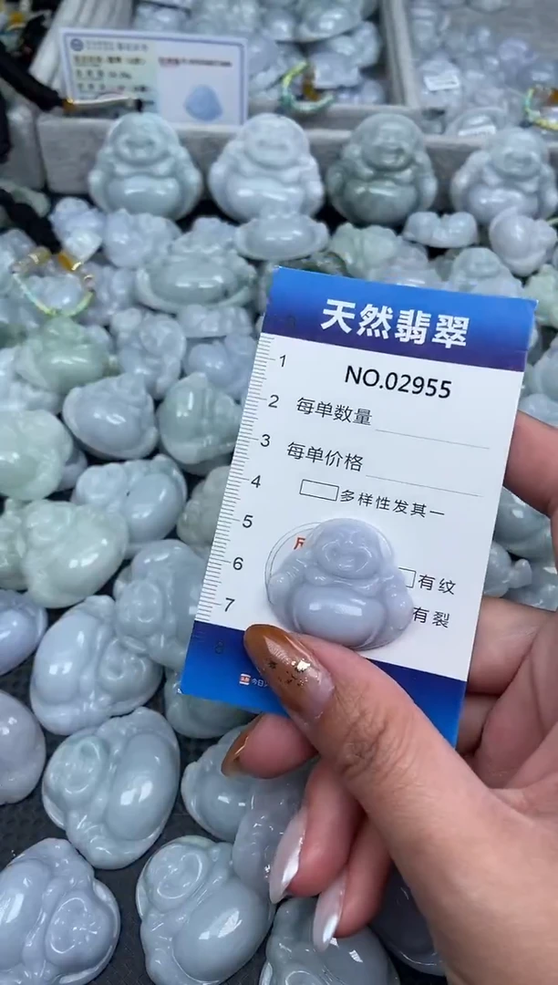 颈饰未镶嵌翡翠纯天然A货翡翠2955