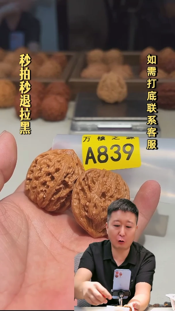 吊坠文玩核桃生*A839九龙筋