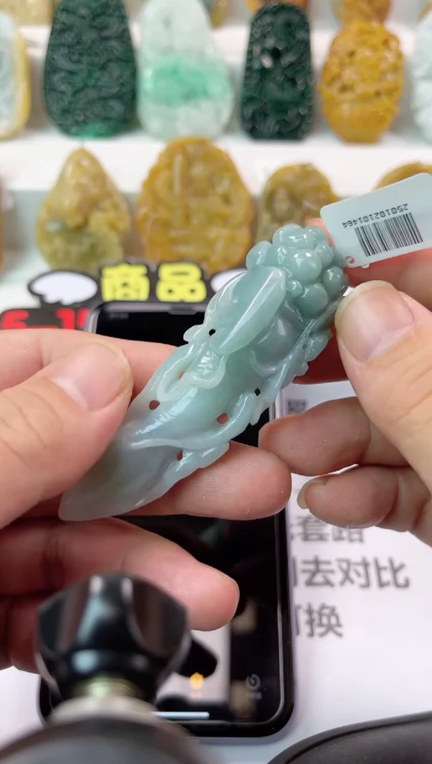 【闪购商品】翡翠颈饰未镶嵌人参