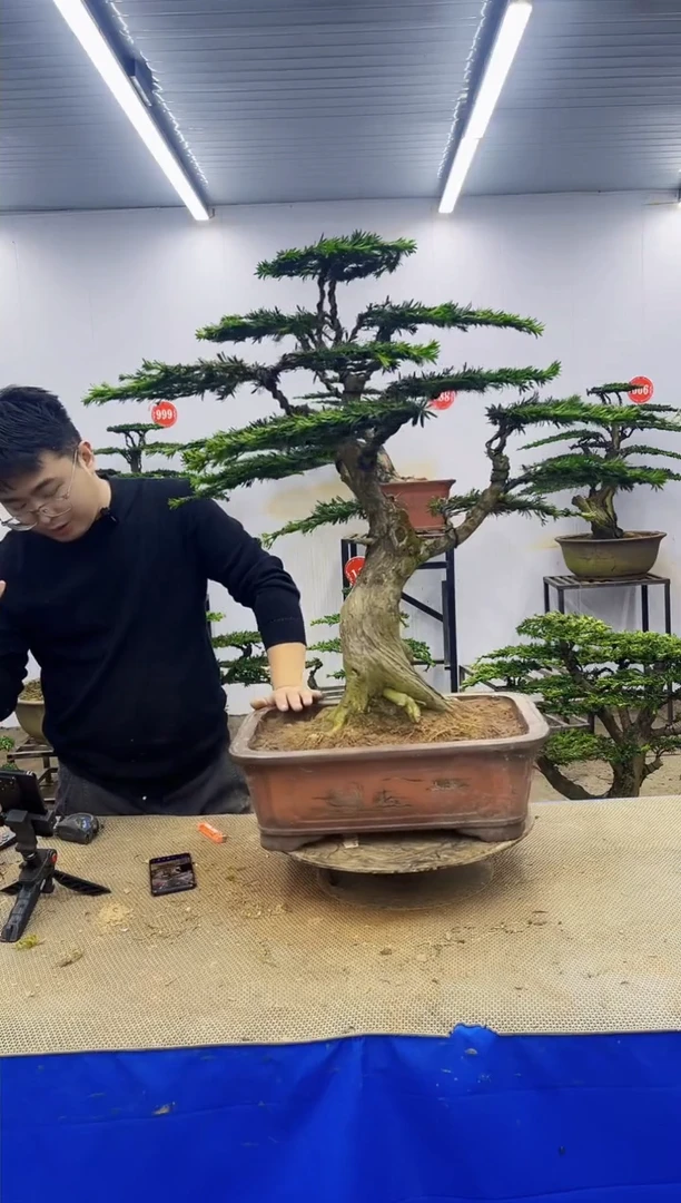 完全开放一物一拍，所见即所得