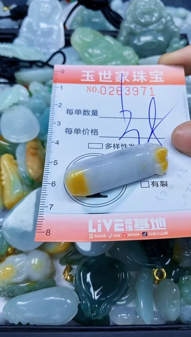 翡翠未镶嵌颈饰闪购0263971