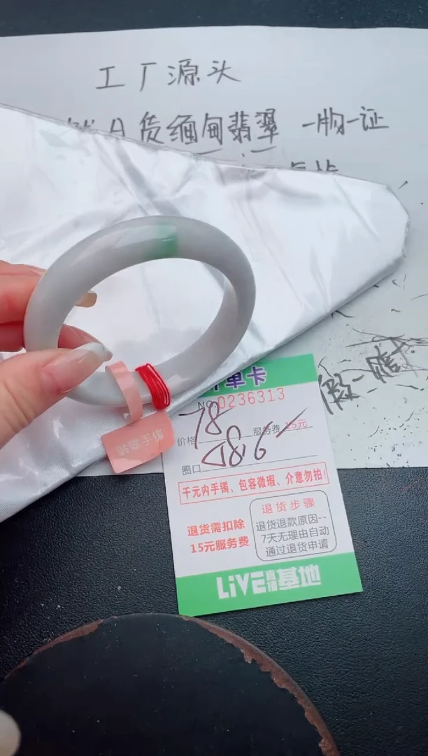 未镶嵌手镯翡翠13