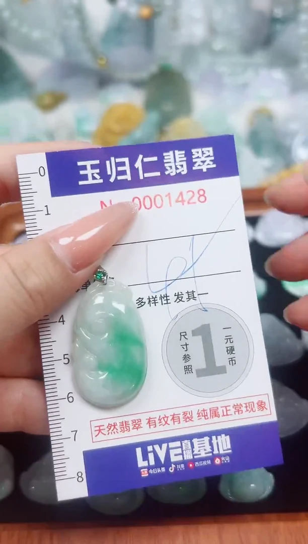 颈饰未镶嵌翡翠132