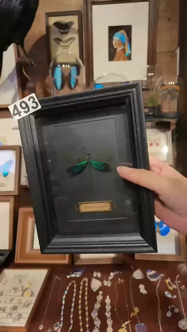 玻璃双面款493相框