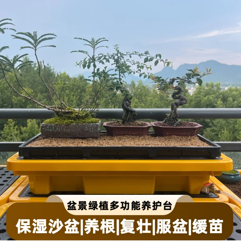 盆景保湿沙盆多功能养护台浇水浸盆保温保湿防寒花棚暖房保温罩