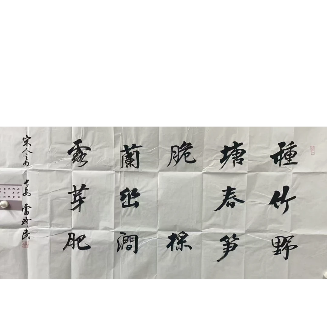 雷珍民 款 绘画书法画心138*68平尺8.2