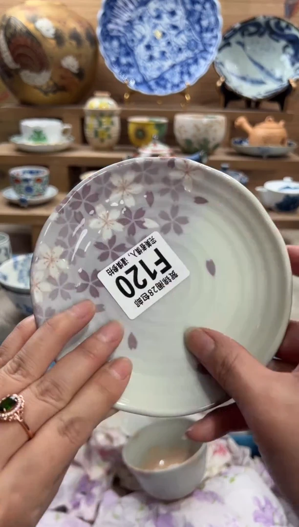 瓷片好**?     F120