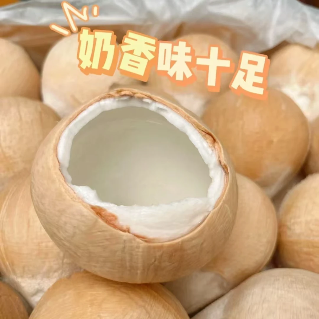 【散装】[N]奶香椰皇 份/5颗 仅限太原晋中吕梁忻州可拍