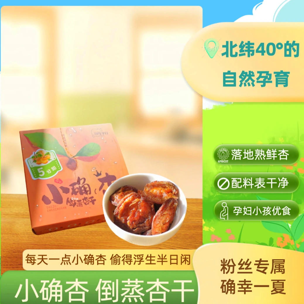 【小确杏粉丝专属 私信有惊喜】倒蒸杏干 茶点小酌伴侣