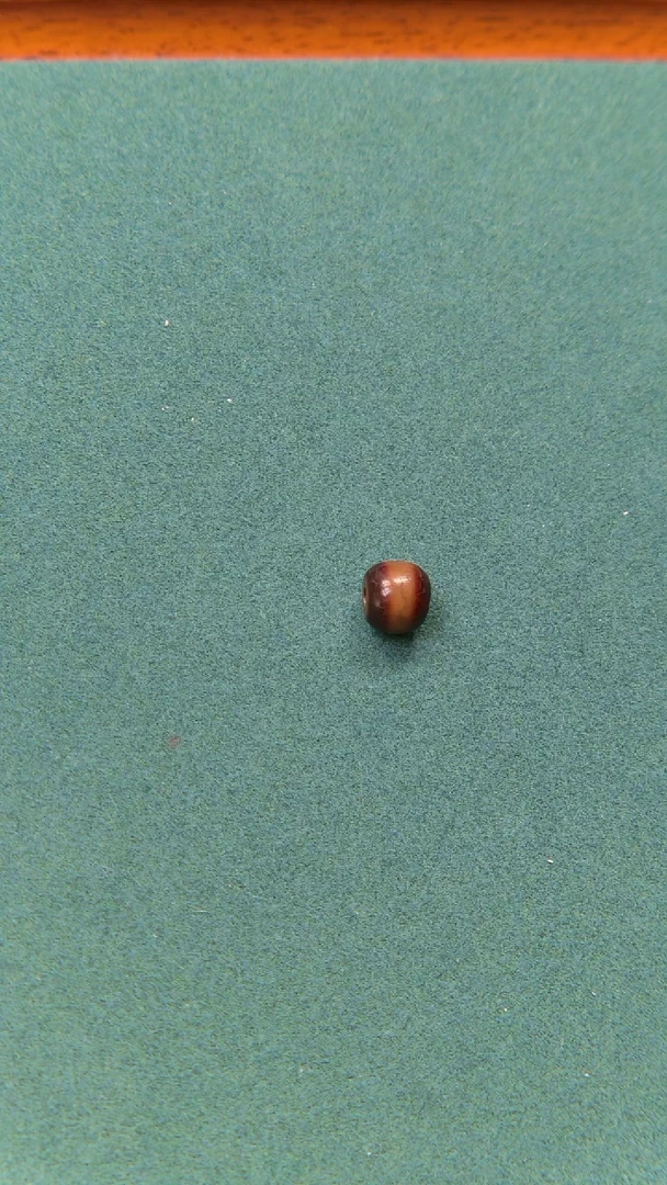 手串菩提根/象牙果沙*土戈兰