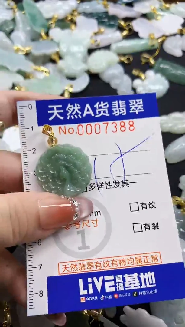 颈饰未镶嵌翡翠d****s天然A货翡翠
