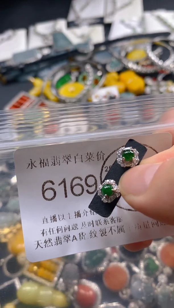 翡翠未镶嵌吊坠(不含链)6169