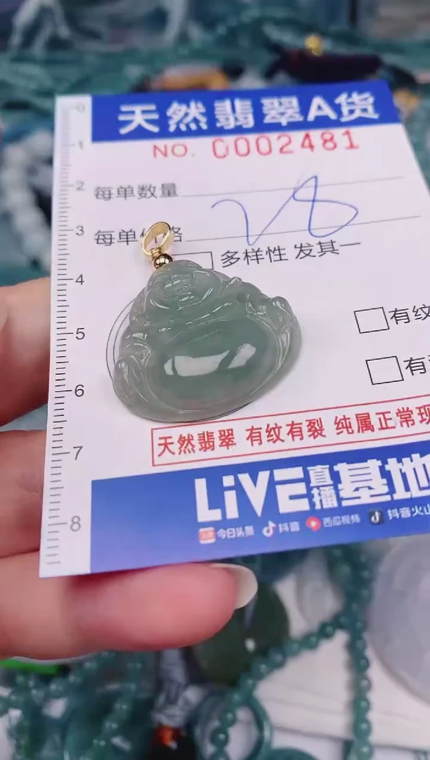 颈饰未镶嵌翡翠00002481