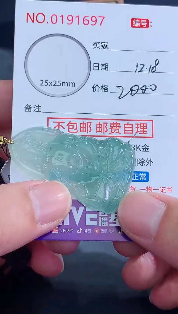 颈饰未镶嵌翡翠饱*吃天然缅甸A货翡翠