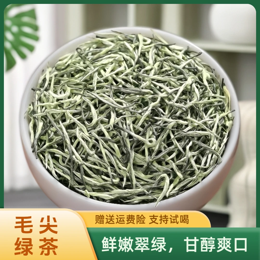 2025年高山毛尖茶栗香明前手工毛尖毛尖茶板栗香绿茶高山茶新茶