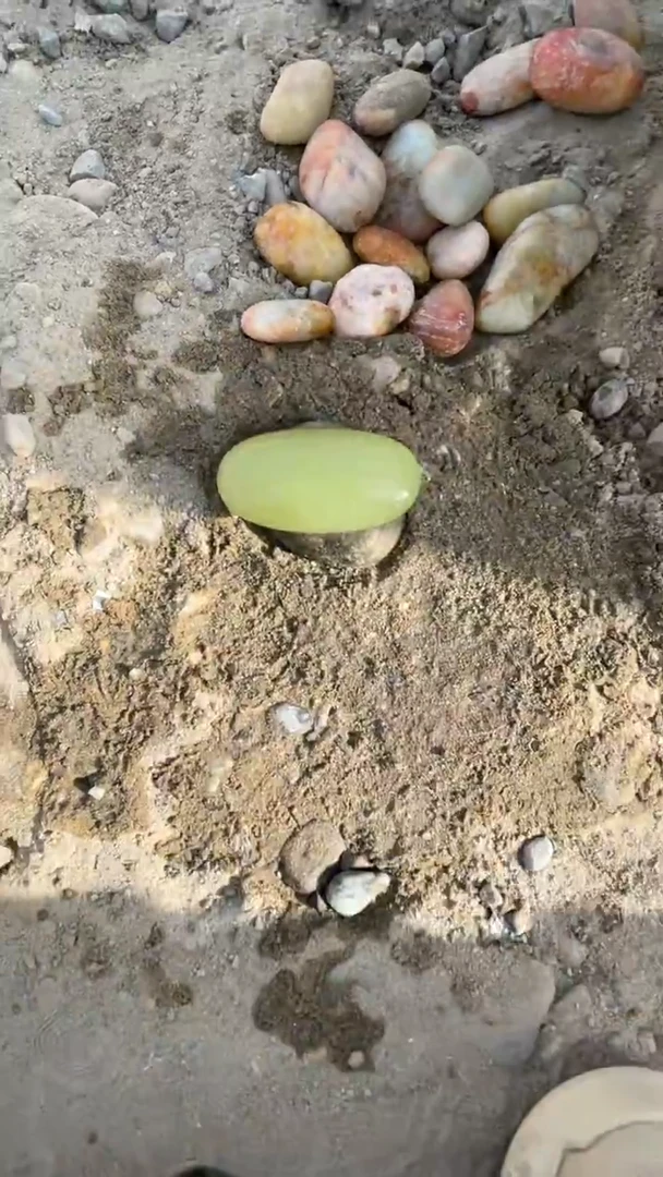 颈饰未镶嵌和田玉（糖玉）0032