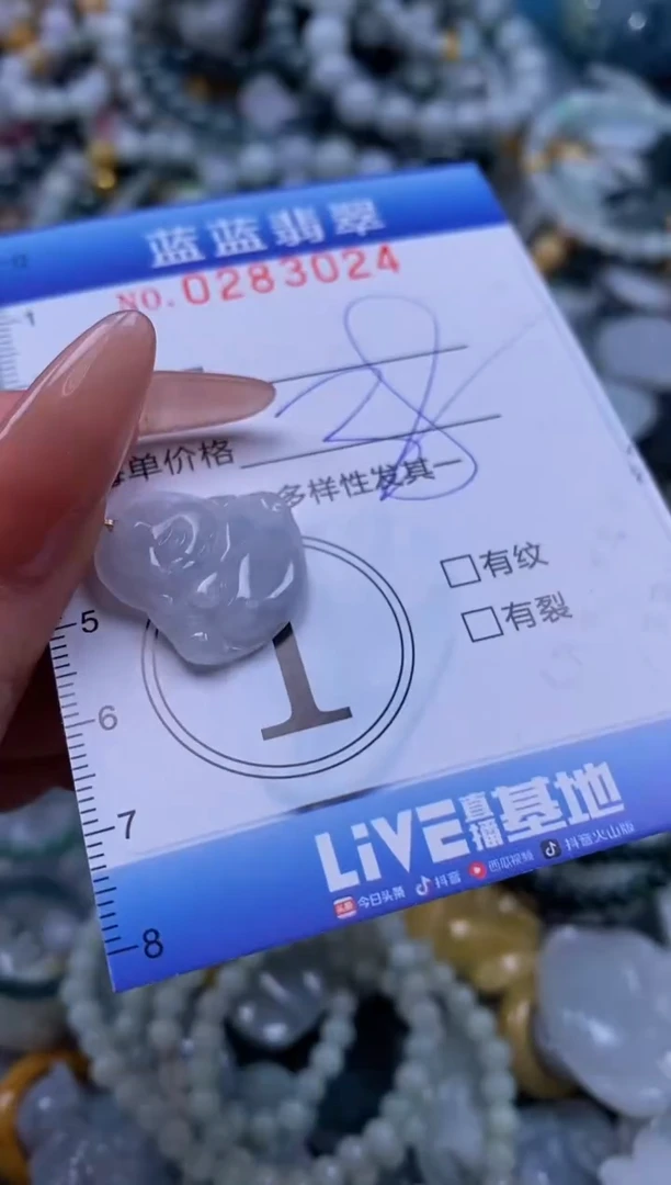 翡翠未镶嵌颈饰闪购0283024