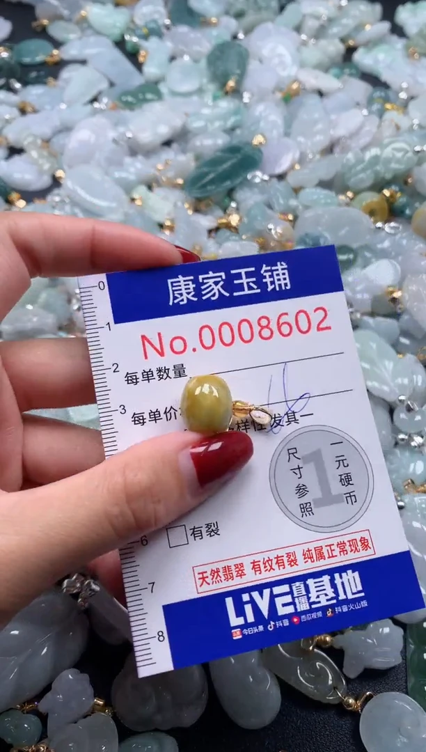 颈饰未镶嵌翡翠8602