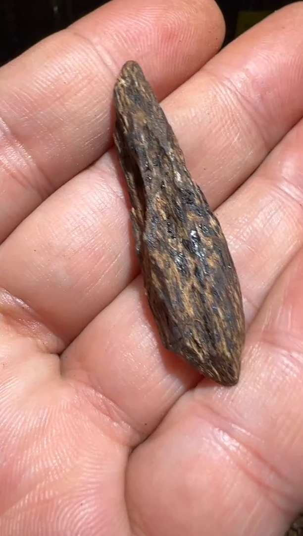 沉香沉香碎屑文莱1.7克