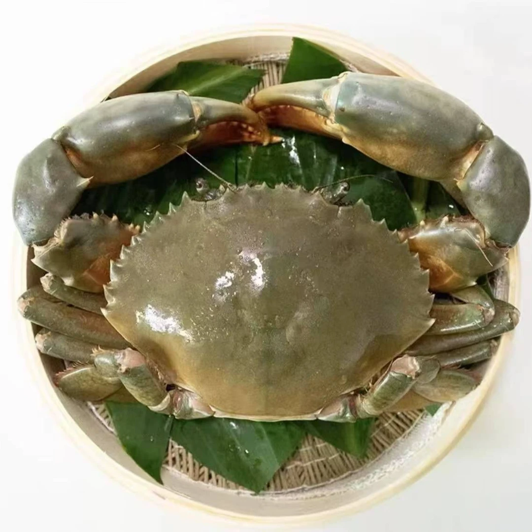 鲜活肉蟹/约500-550g