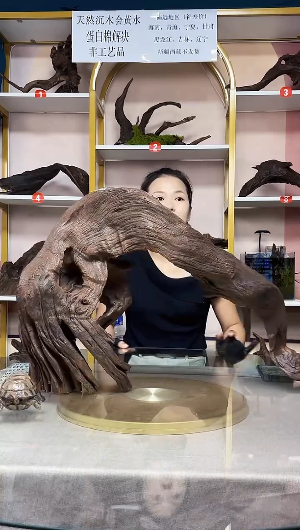 山丘沉木紫柚木A