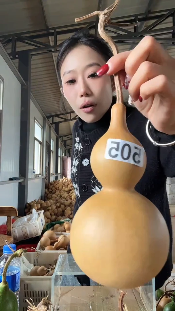 无花朵505天然葫芦摆件 一物一拍龙头不保售后