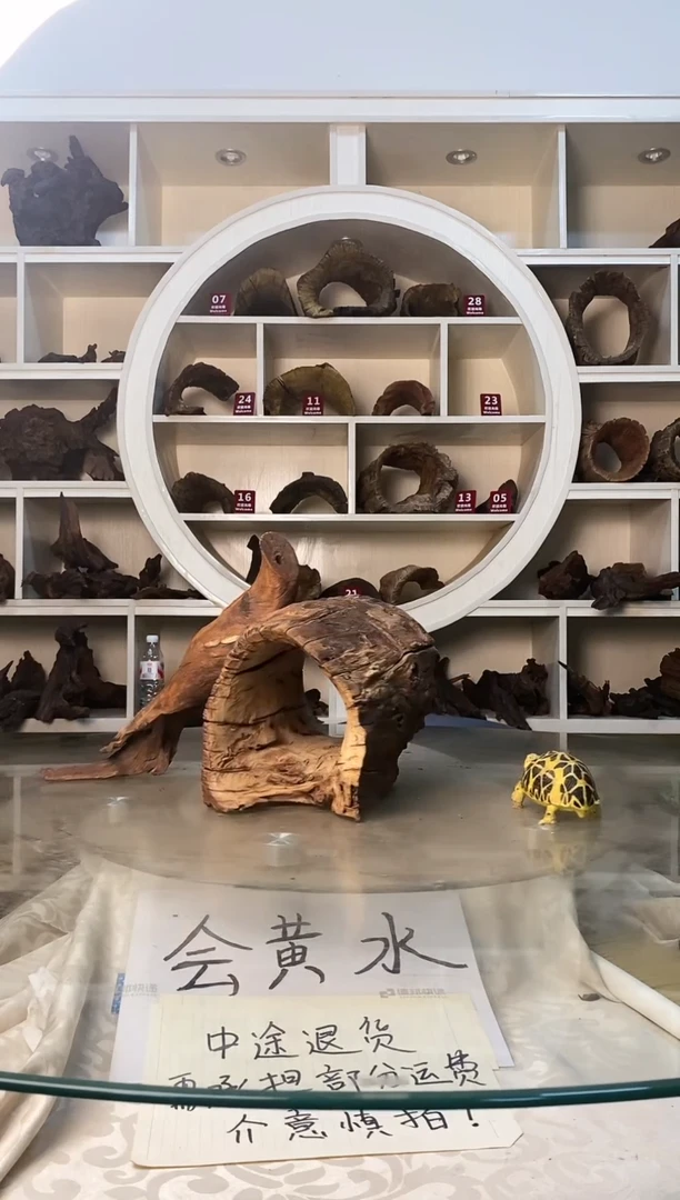 用****8鱼缸造景爬宠素材475