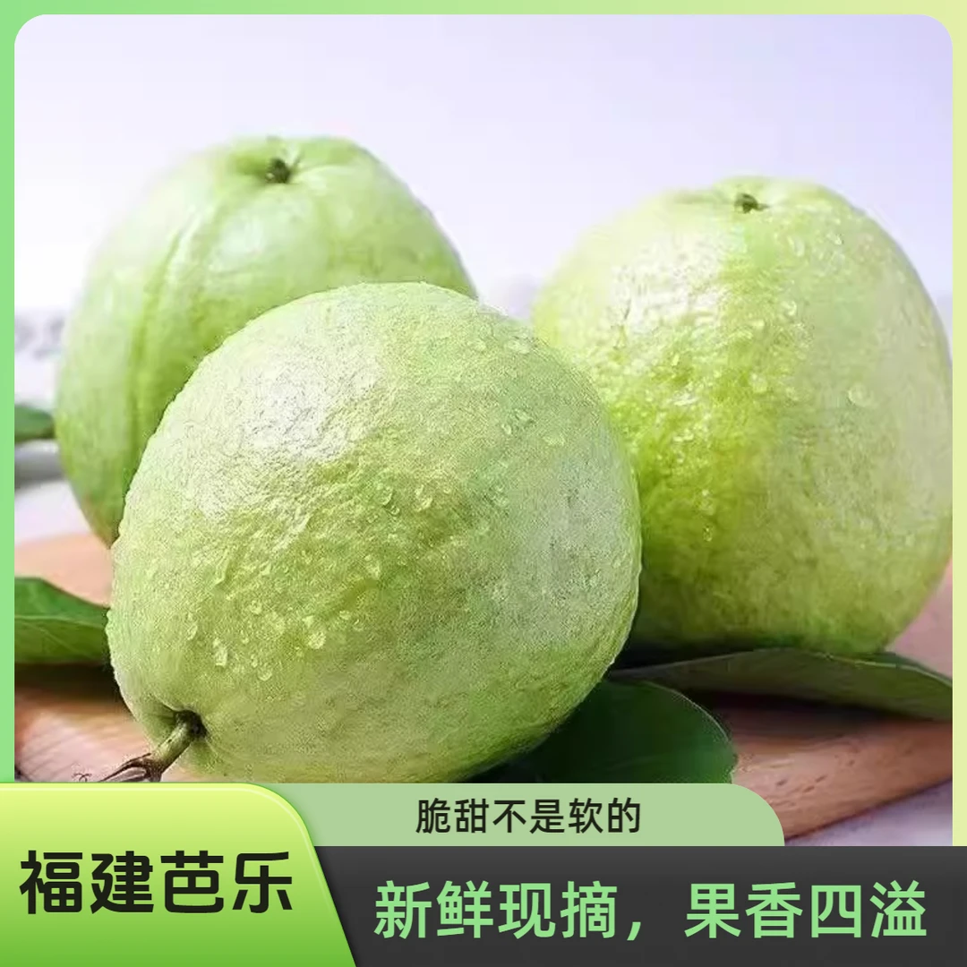 【昕莹达鲜选】福建白心芭乐番石榴水果新鲜现摘脆甜多汁3/5斤装