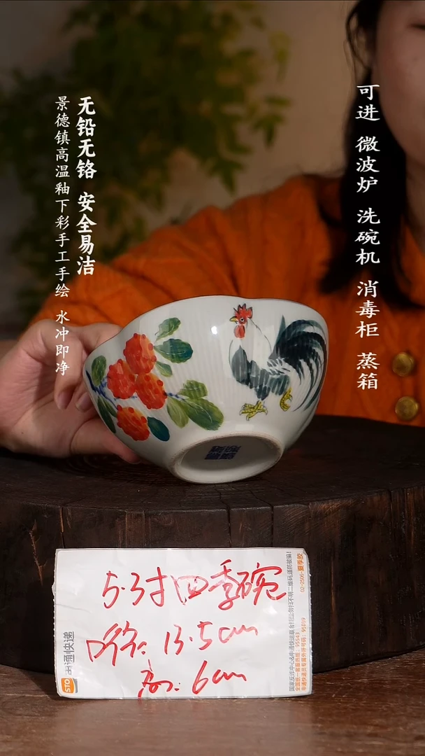 碗陶瓷景德镇高温瓷釉下彩手绘陶瓷