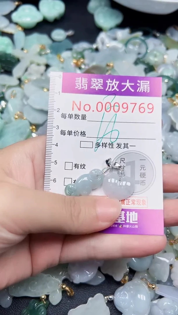 颈饰未镶嵌翡翠9769