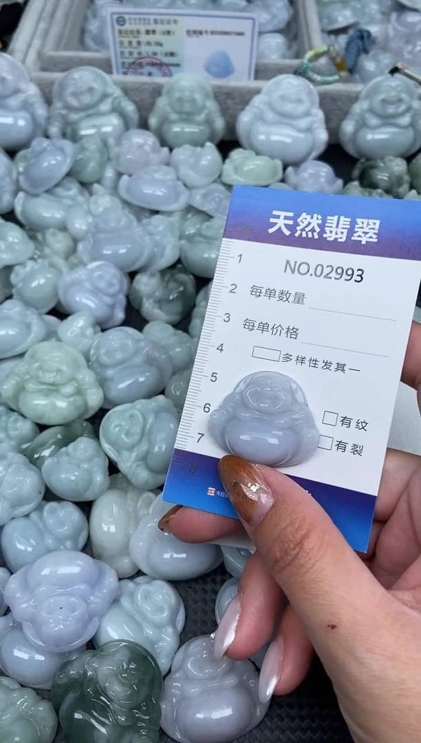 颈饰未镶嵌翡翠纯天然A货翡翠2993