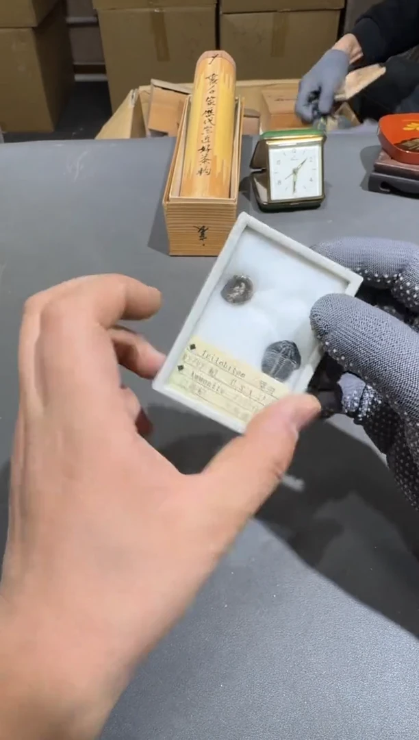 【闪购商品】杯小四孤品收藏中古品