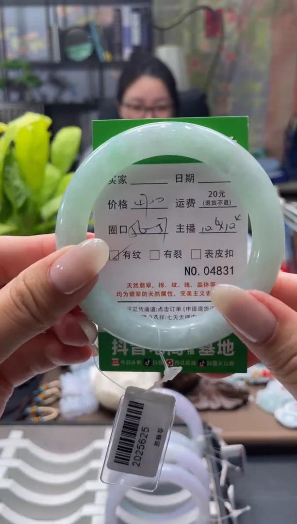 未镶嵌手镯翡翠4831****