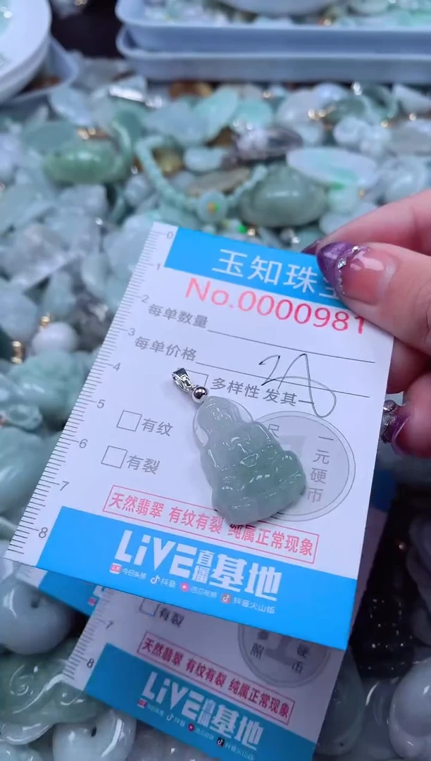 翡翠未镶嵌吊坠(不含链)981