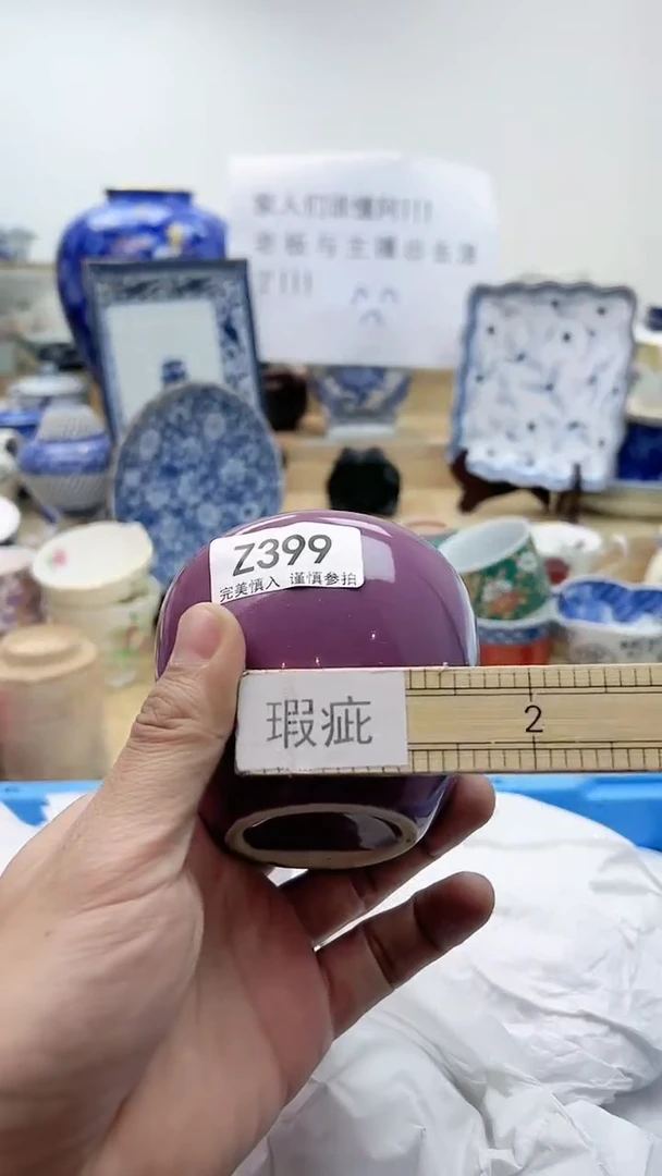【闪购商品】瓷片399