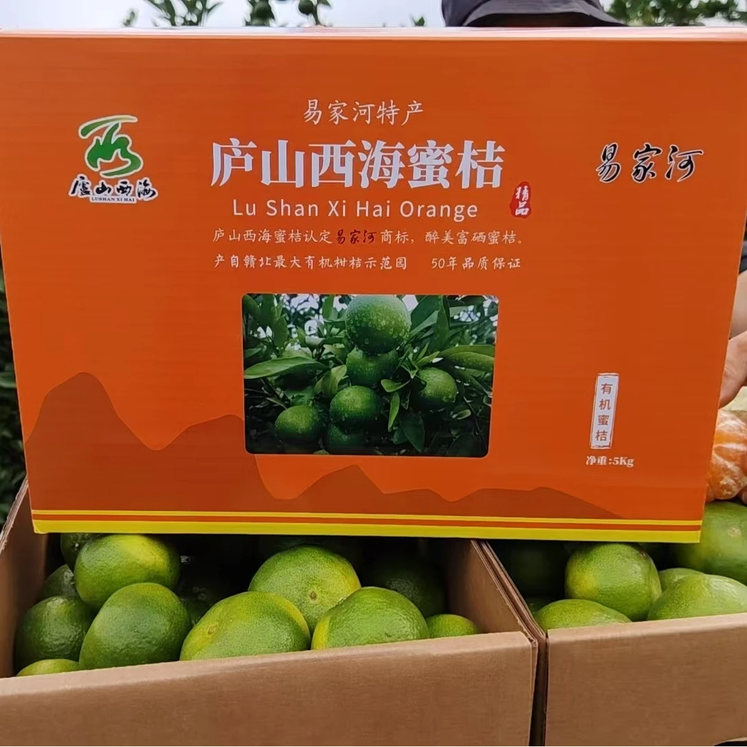 【修滋味】庐山西海蜜橘易家河蜜橘新鲜现摘产地直发多汁橘子